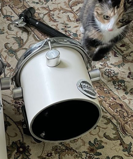 6” x 8" DutchDrums Octoban white