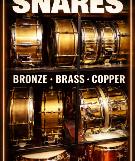 14” × 5” Rogers Dynasonic Chrome over Brass Snare [1970s]